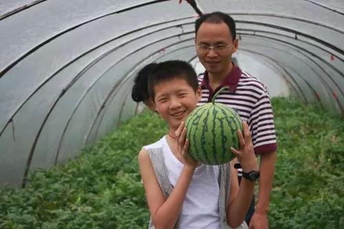 吃麒麟瓜声控,麒麟瓜的神秘呼唤