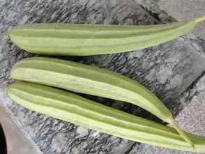 专业吃瓜群,网络舆论场的幕后推手