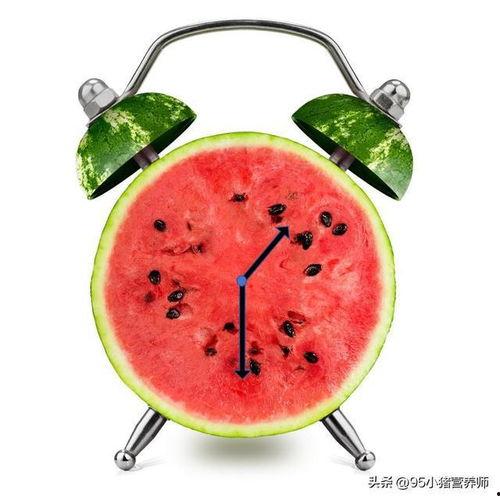 吃瓜小困,揭秘娱乐圈那些不为人知的幕后故事