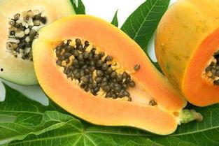 胃病可以吃生瓜,生瓜的食用探讨