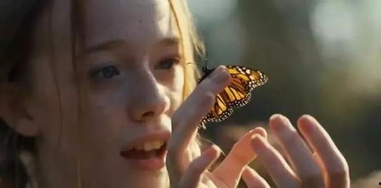 小安妮吃瓜事件,网络热议背后的真相与反思