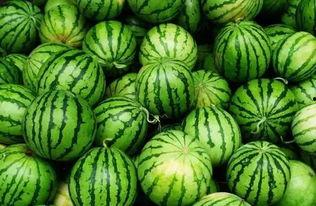 qq吃瓜秘密吃瓜基地,探寻吃瓜基地背后的故事