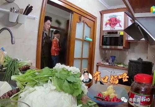 全家摆凳子吃瓜,凳子摆满，共享夏日吃瓜时光