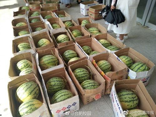 校园吃瓜最新,揭秘校园吃瓜背后的故事与真相