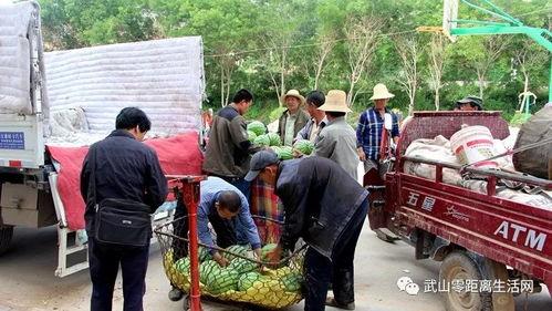 吃瓜镇,一场关于美食与生活的奇妙之旅