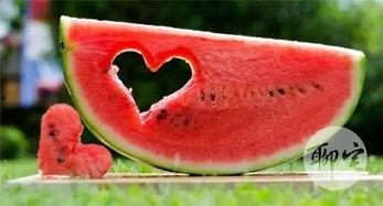 瓜女娃子 天天吃瓜,揭秘娱乐圈的“吃瓜”日常