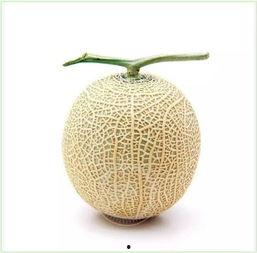 吃瓜群众网纹瓜,揭秘吃瓜群众的夏日消暑新宠