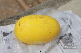 瑞丽吃大瓜,揭秘娱乐圈幕后真相