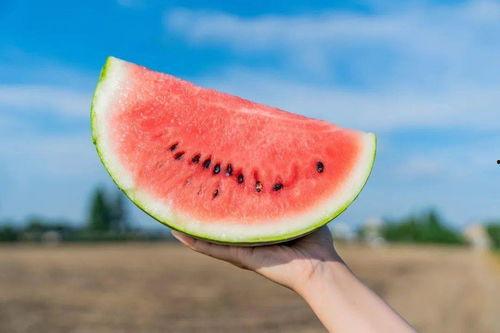 山农吃瓜打卡,夏日校园生活新风尚