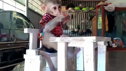 学校坐椅子上面吃瓜,共享悠闲时光