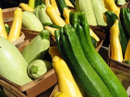 瓜弟带你吃瓜,尽享人间烟火气