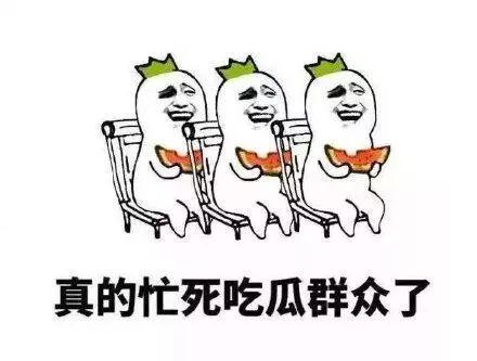 吃瓜群众有教养,教养与智慧的完美融合