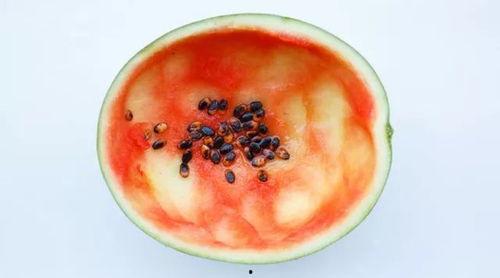 仁怀吃瓜事件真相,真相背后的惊人内幕