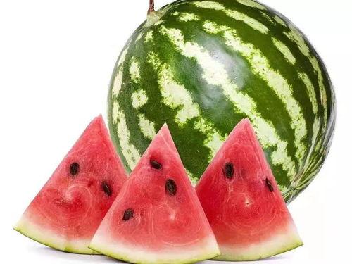 51吃瓜今日吃瓜必吃莫里秀大瓜