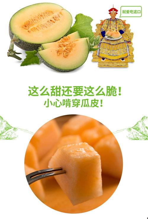 吃鼎蜜瓜,探索吃鼎蜜瓜的独特风味