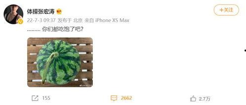 张宏涛吃瓜网站,揭秘娱乐圈幕后故事,带你领略明星真实一面