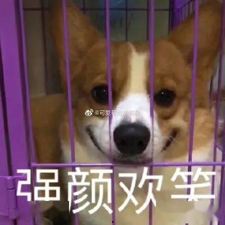 00后吃瓜表情,网络时代的青春印记