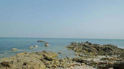 大海吃瓜,揭秘海洋生物的奇妙食性